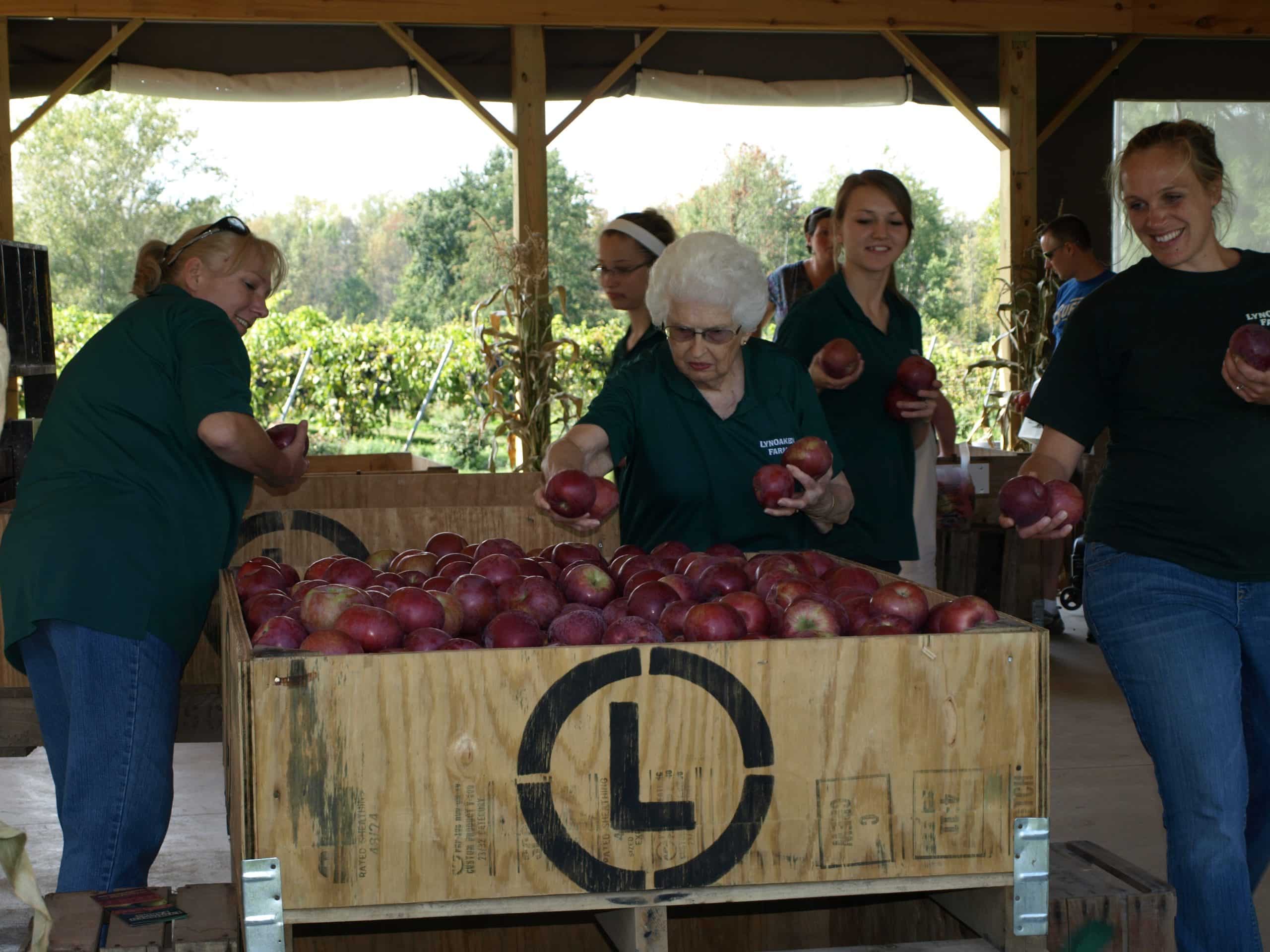Apple Picking at LynOaken Farms
